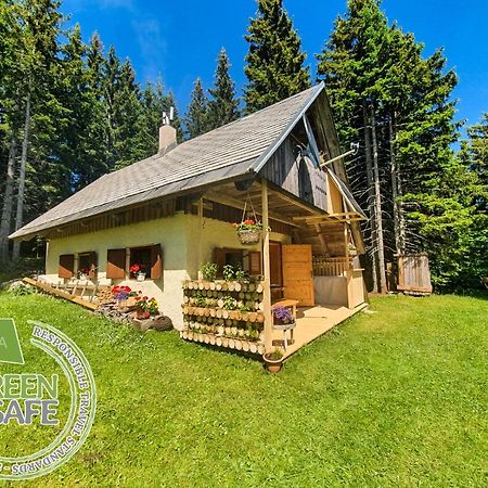 Mountain Eco Chalet Konjska Dolina On 1400 M Asl -Near Pokljuka Srednja Vas v Bohinju Eksteriør billede