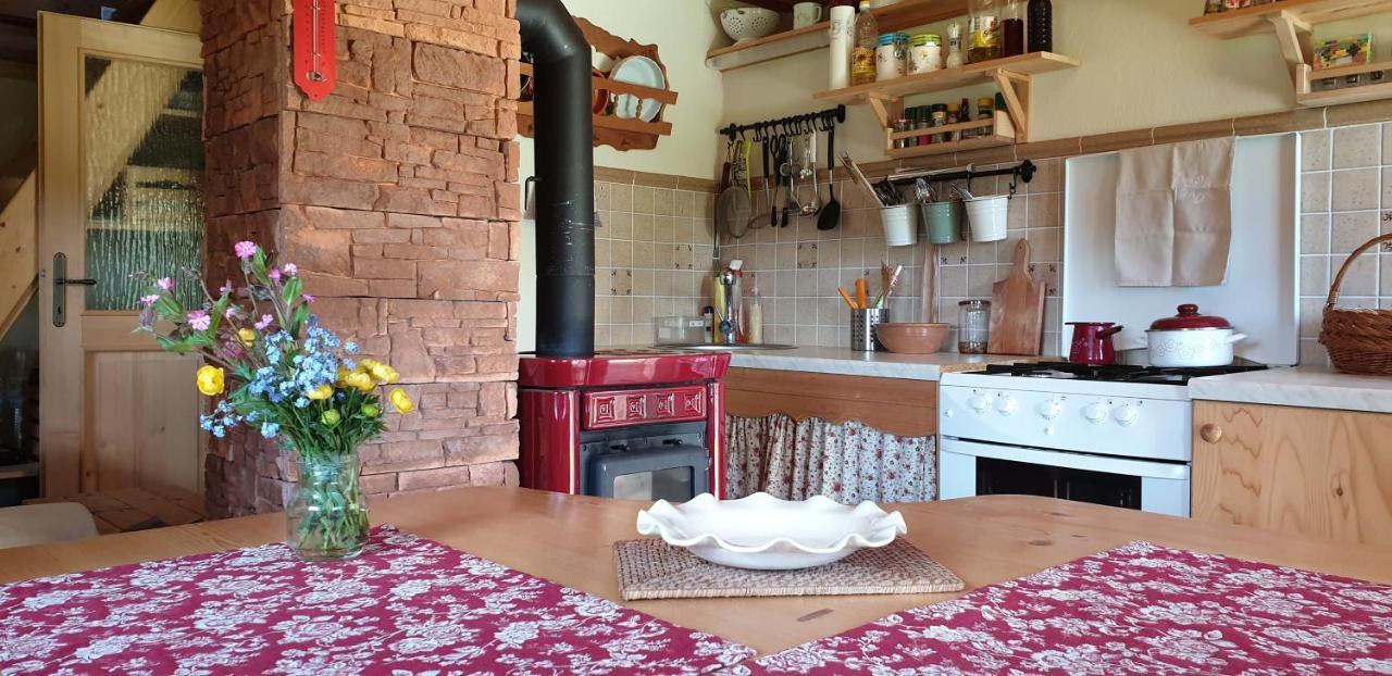 Mountain Eco Chalet Konjska Dolina On 1400 M Asl -Near Pokljuka Srednja Vas v Bohinju Eksteriør billede