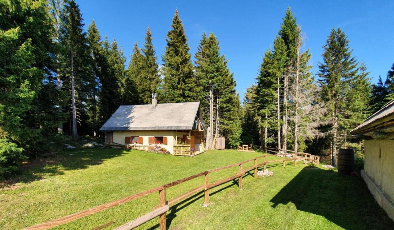 Mountain Eco Chalet Konjska Dolina On 1400 M Asl -Near Pokljuka Srednja Vas v Bohinju Eksteriør billede